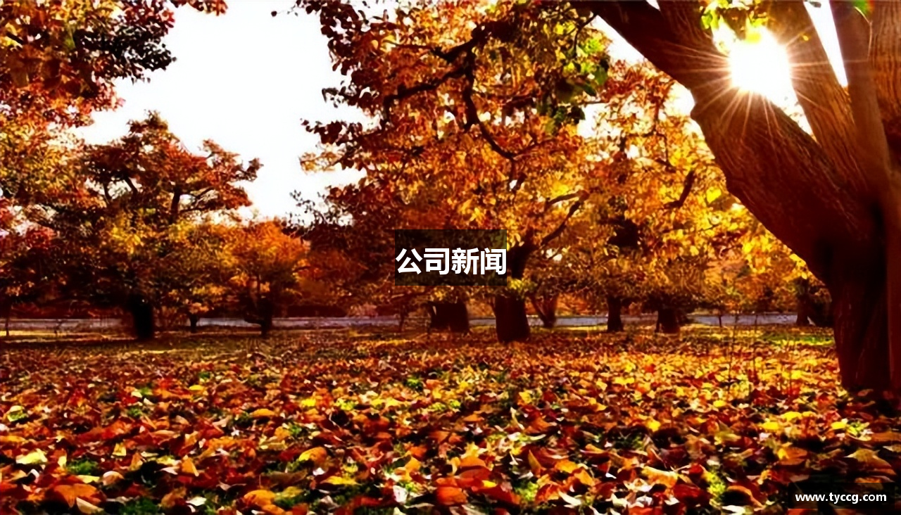 公司新闻